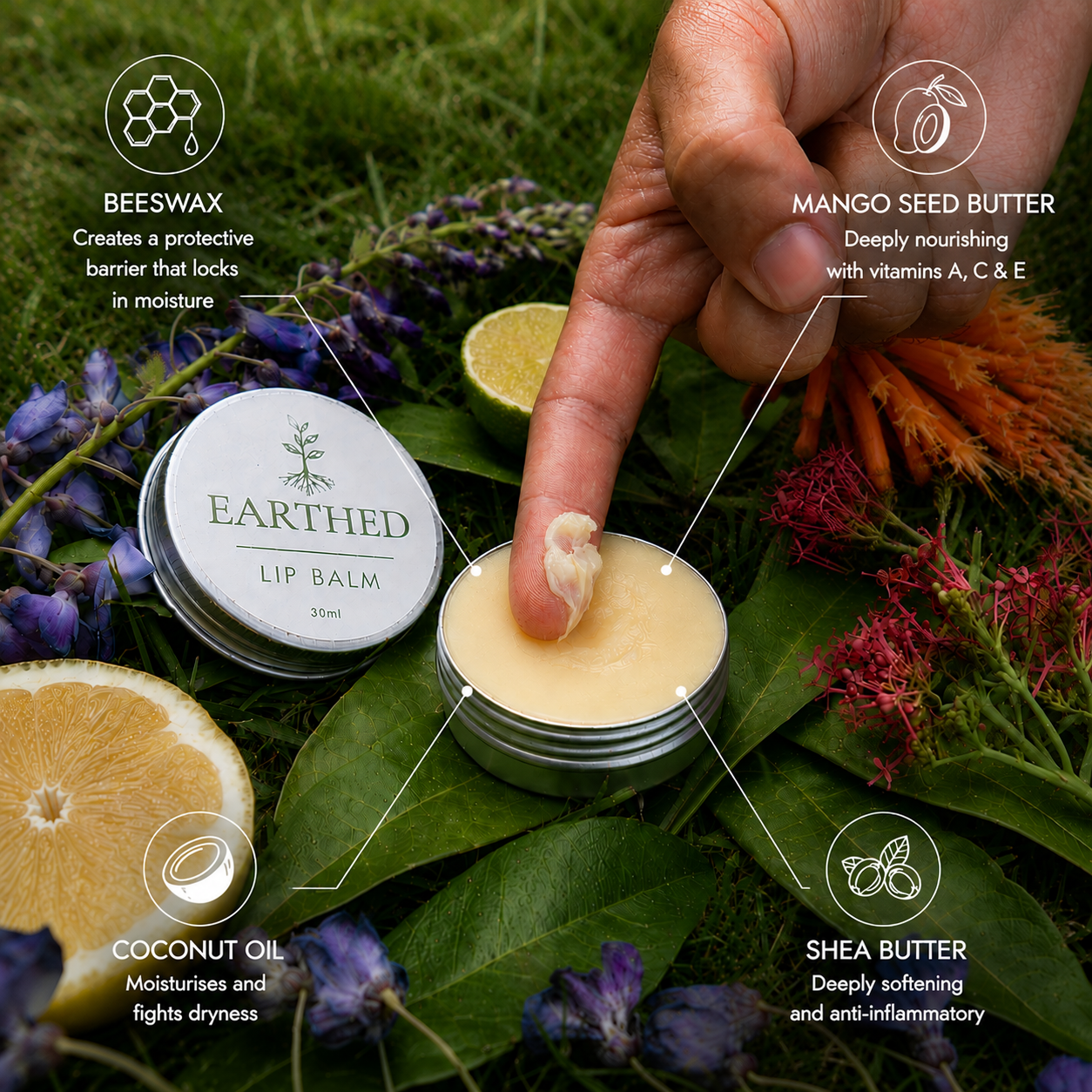 Lip Balm ingredients